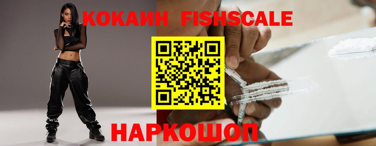 Cocaine Fish Scale  Вход с VPN  Елабуга 