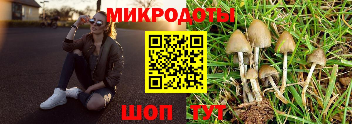 Псилоцибиновые грибы GOLDEN TEACHER Елабуга