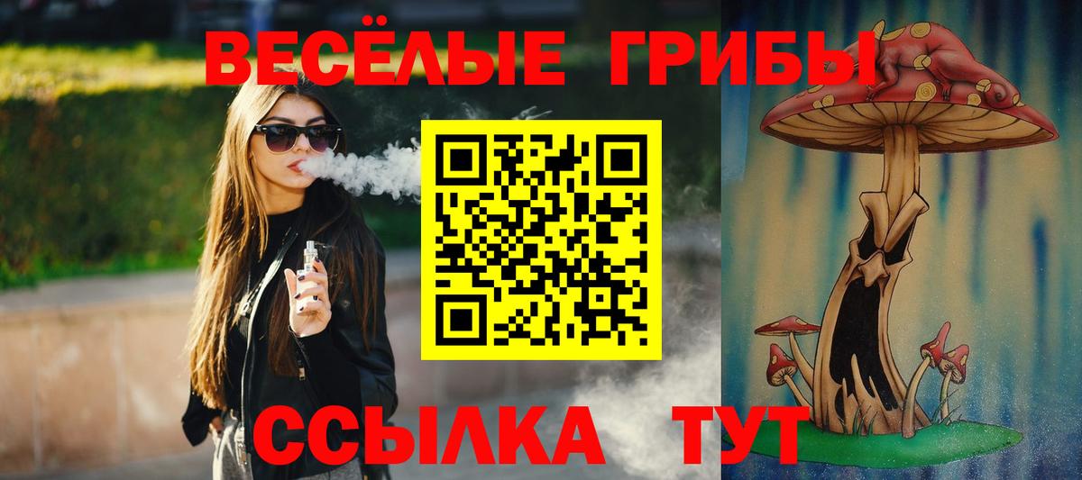 Псилоцибиновые грибы GOLDEN TEACHER  Вход с VPN  купить закладку  Елабуга  Галлюциногенные грибы Cubensis 