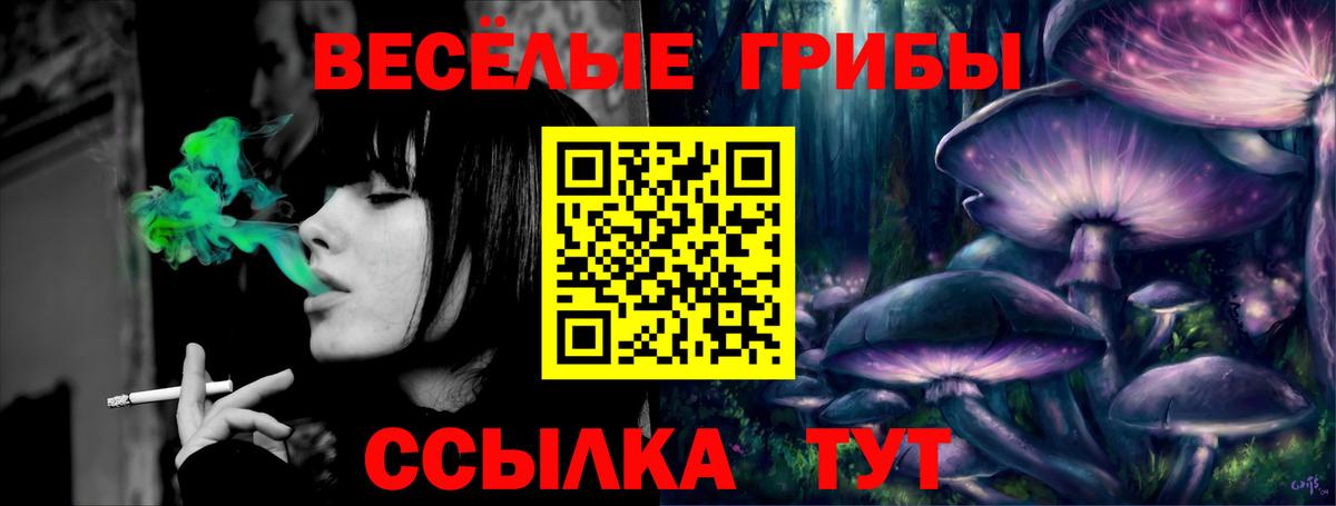 APVP Елабуга